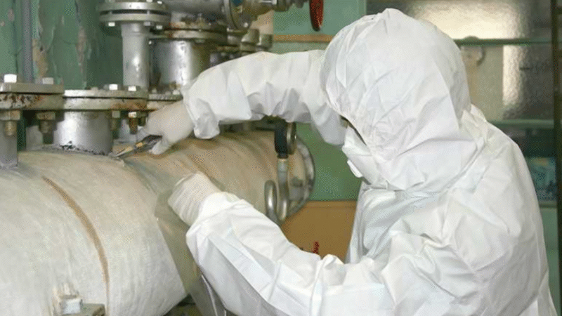 Rat Control Offering Safe and Effective Solutions for Quick Removal